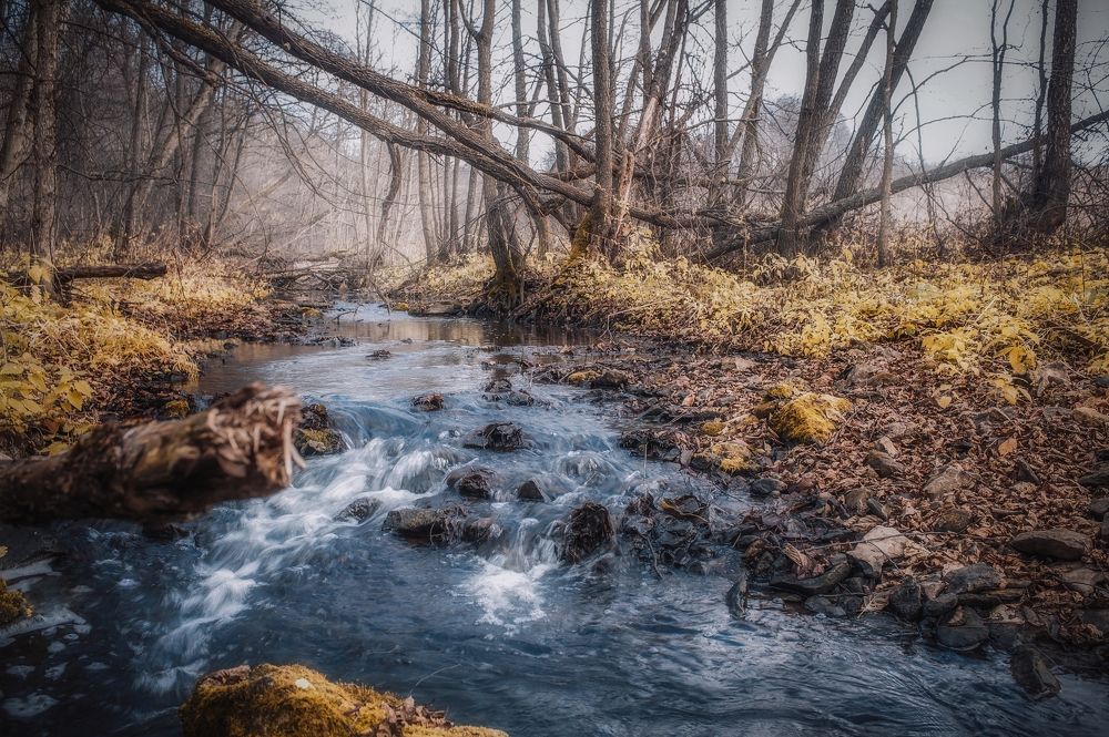 Photograph by Елена Раздвилова