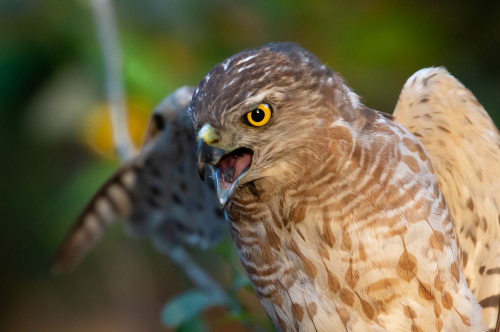 Photograph by bhavesh babre