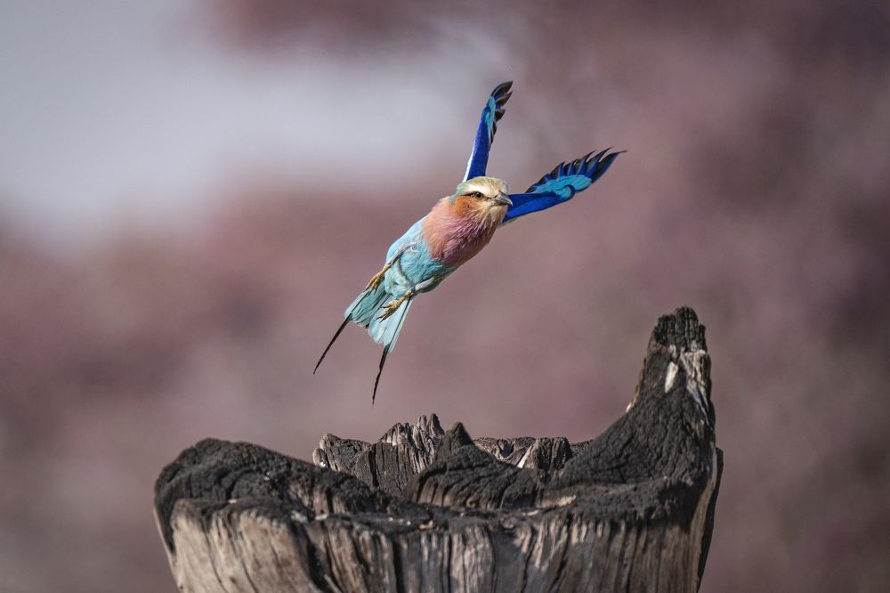 Photograph by Merche Llobera