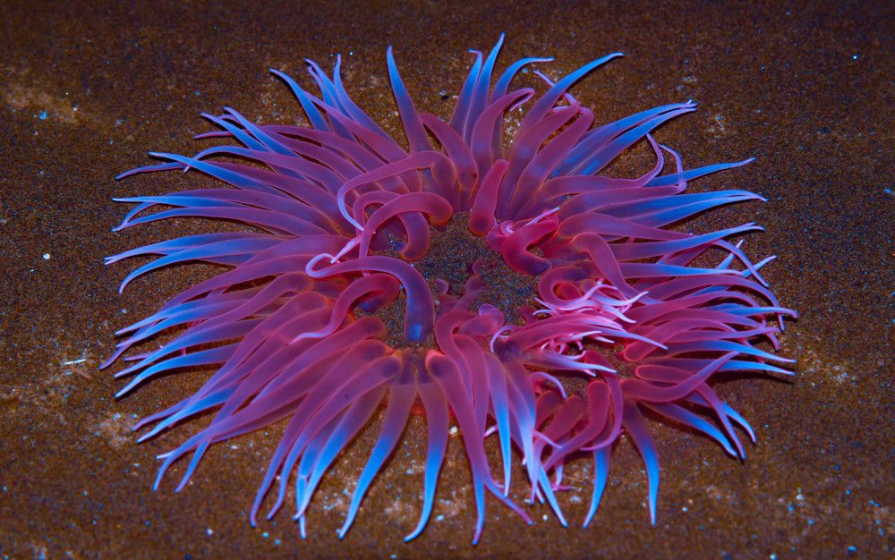 Photograph by bhavesh babre