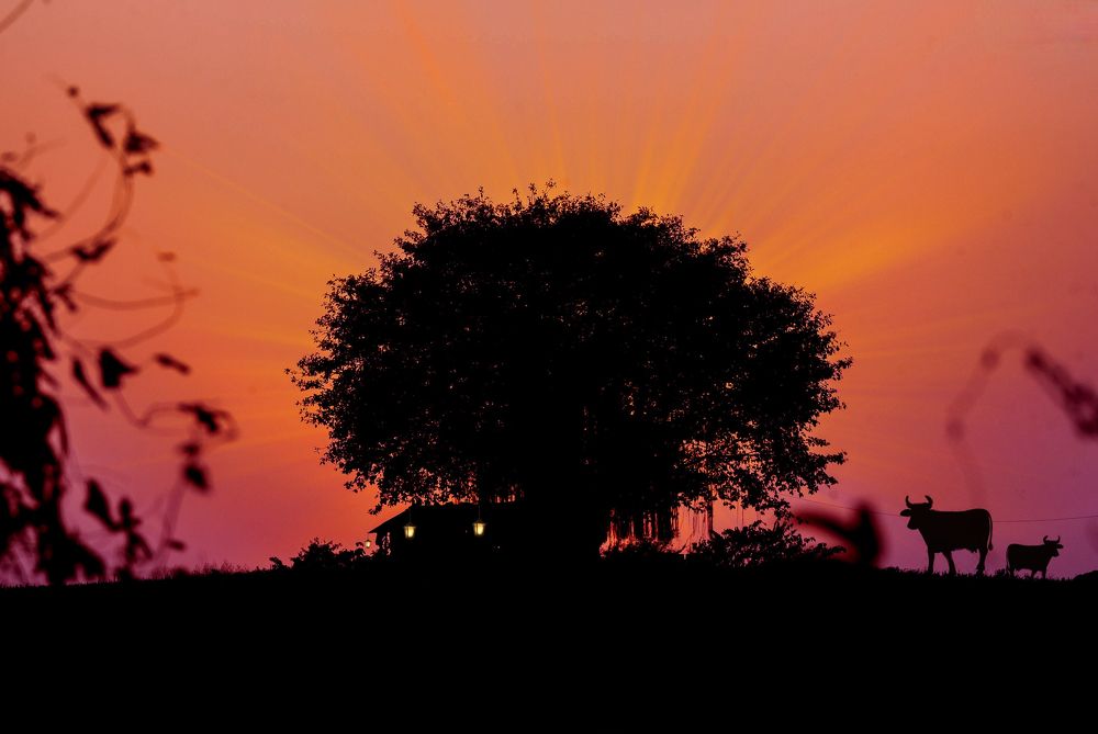 Photograph by bhavesh babre