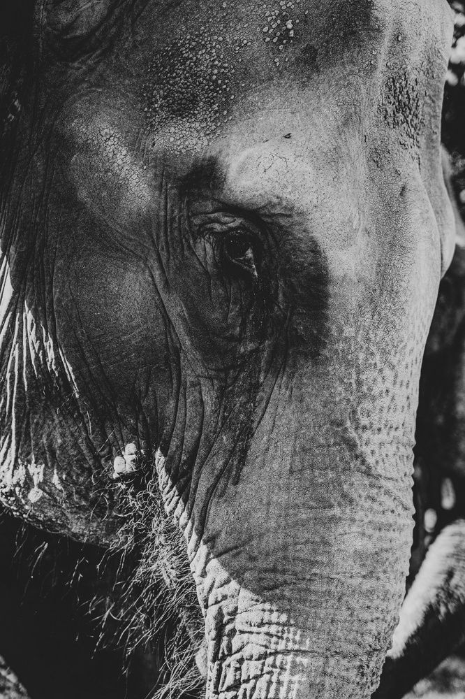 Photograph by Наталия Берсенадзе