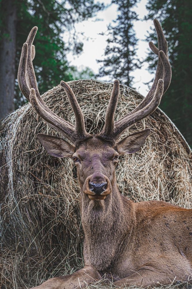 Photograph by Наталия Берсенадзе