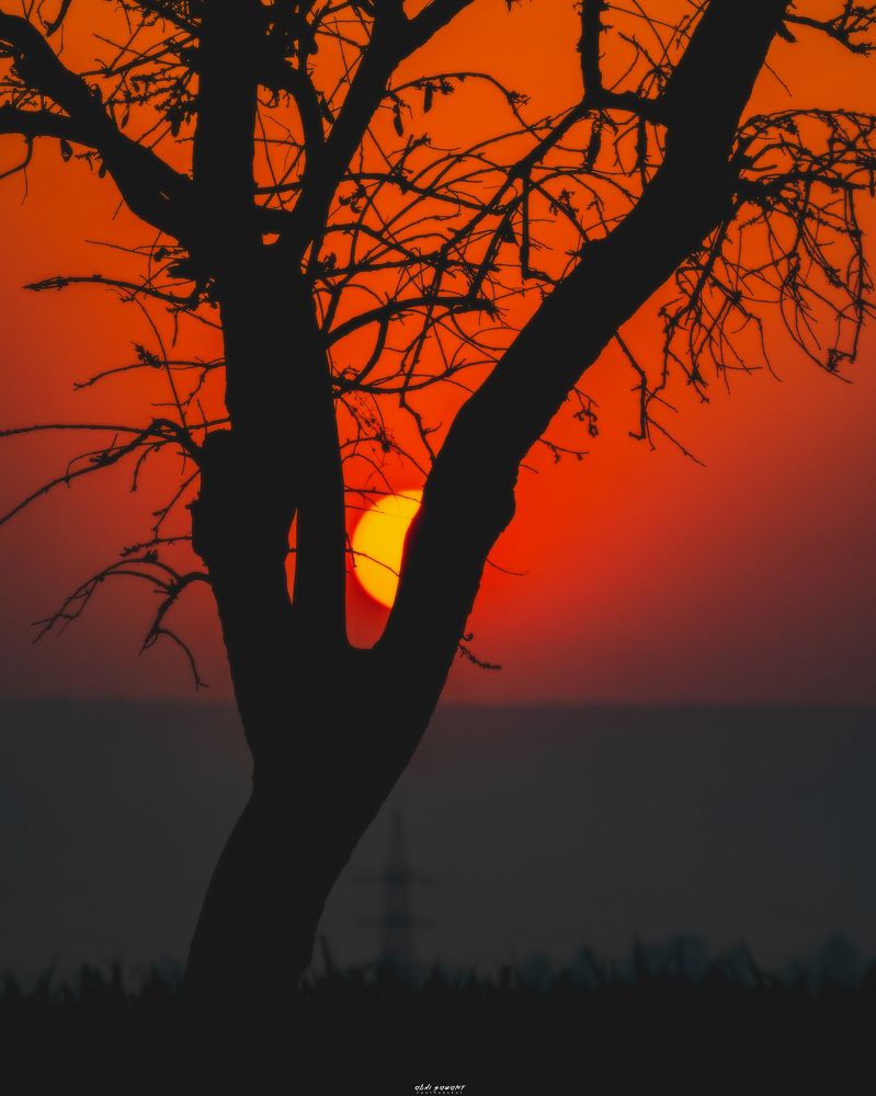 Photograph by Abhijeet Sawant