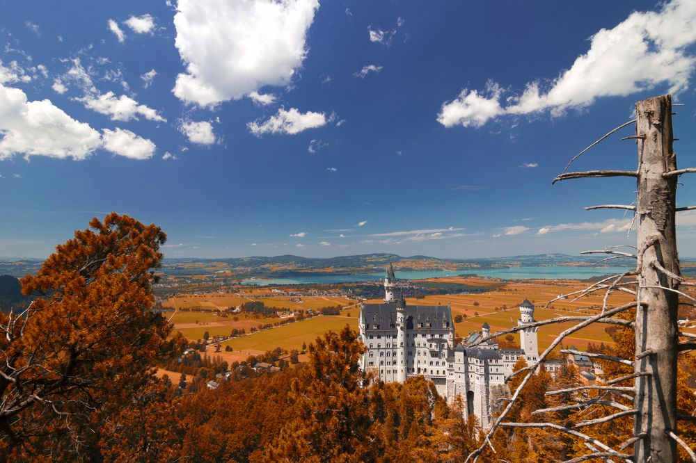 Photograph by Mihai Romeo Bogdan