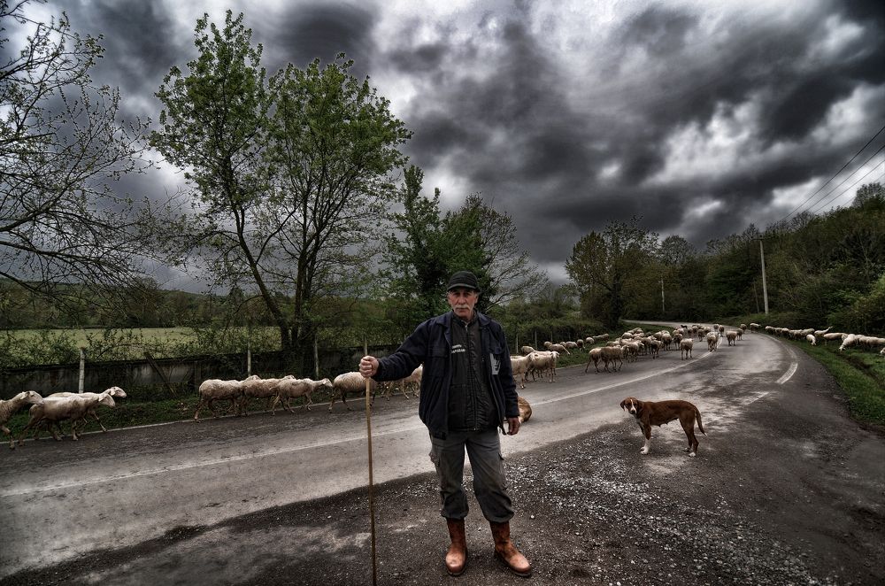 Photograph by Muzaffer Sütlüoğlu