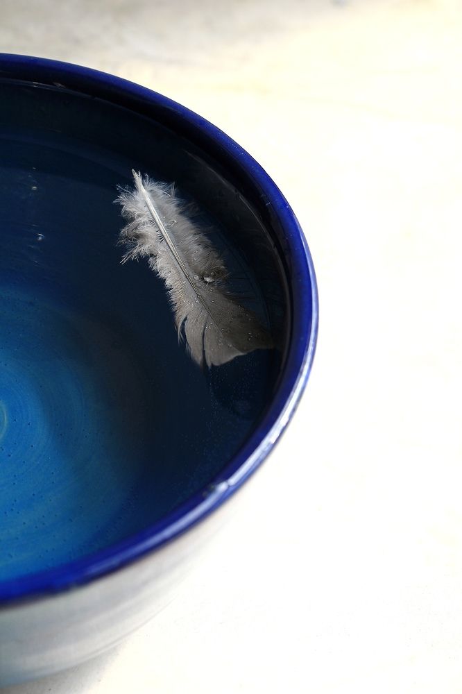 Photograph by Marziyeh Nasiri