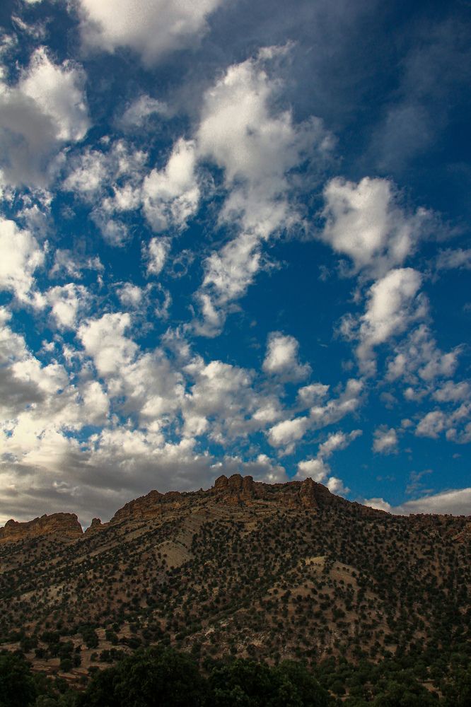 Photograph by Marziyeh Nasiri