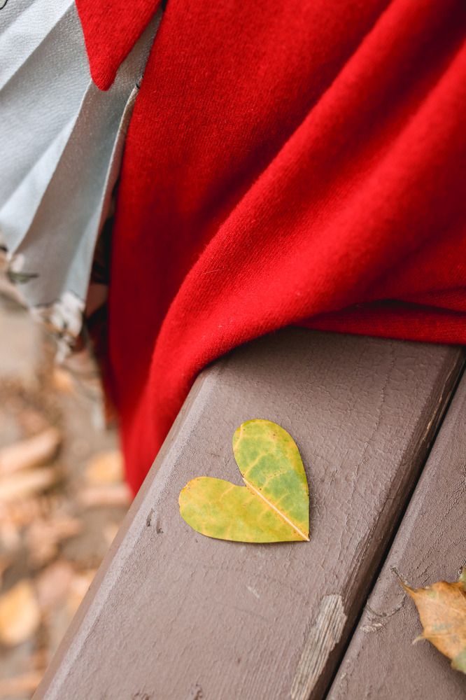 Фотография автора Вера Инюшкина