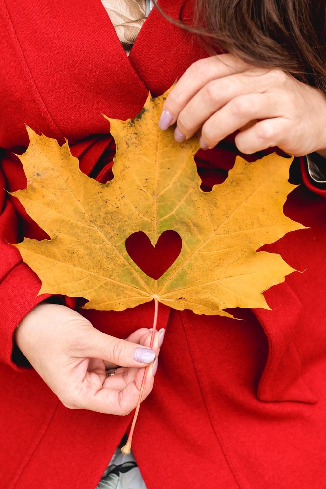 Фотография автора Вера Инюшкина