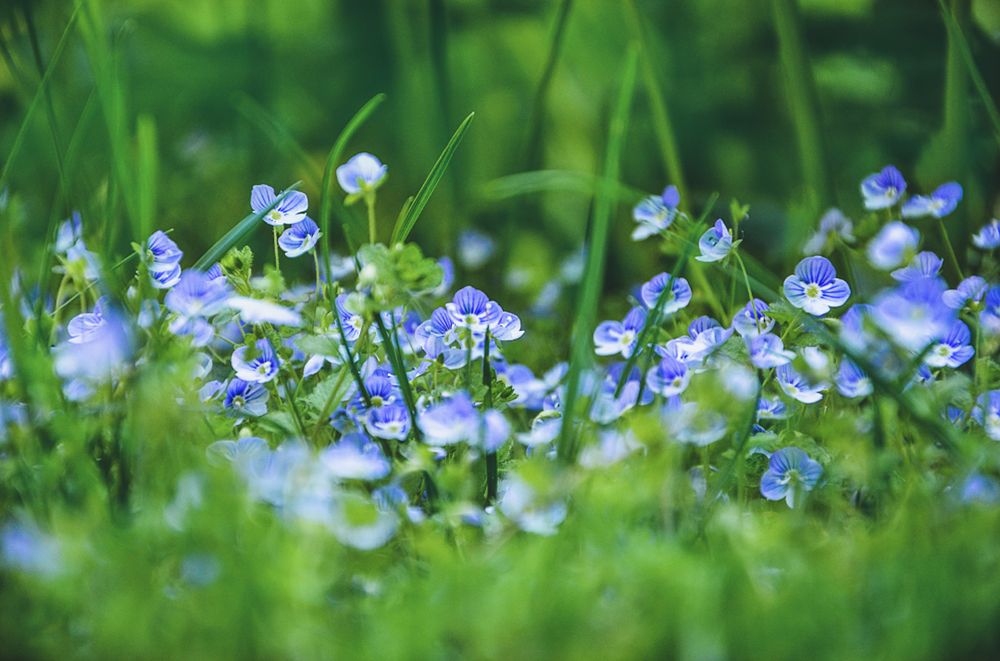 Photograph by Вика Фолина