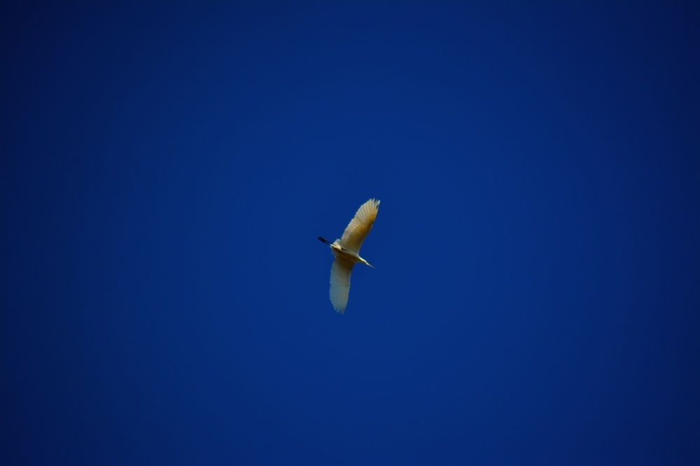 Photograph by Сергей Симаков