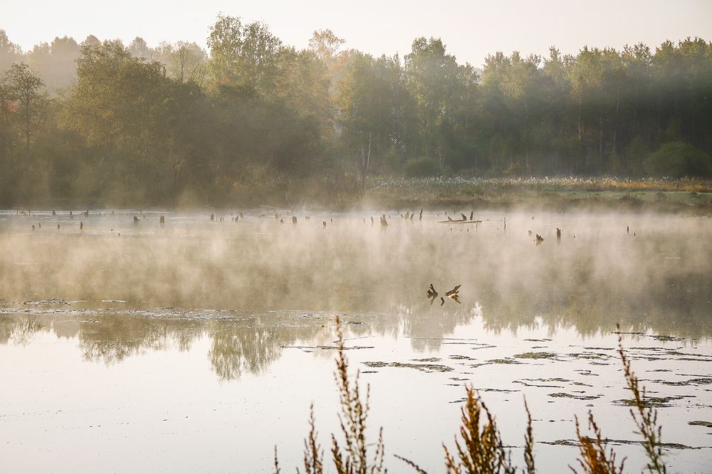 Photograph by Вера Панова