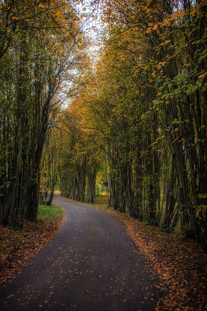 Photograph by Дмитрий Шудель