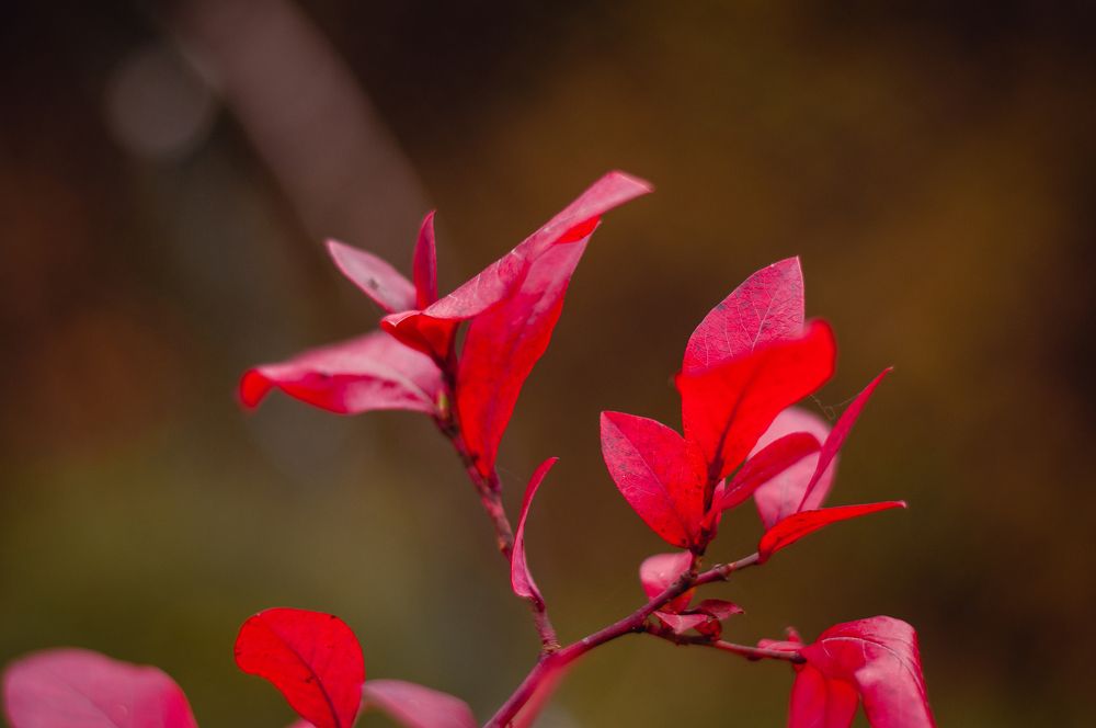 Photograph by Дарья Кончакова