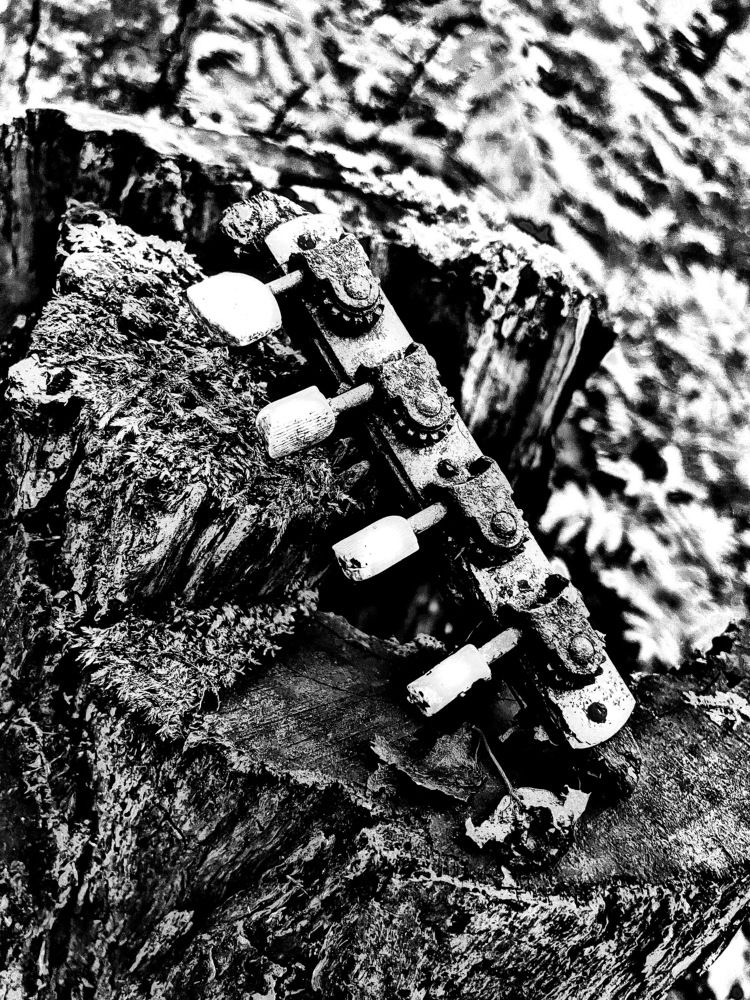 Струна ... оборвана...!