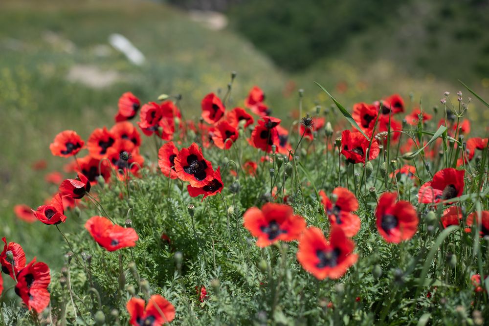 Photograph by Оксана Смирнова