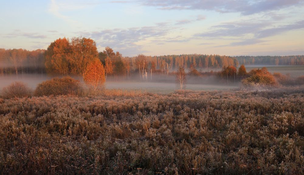Осеннее настроение