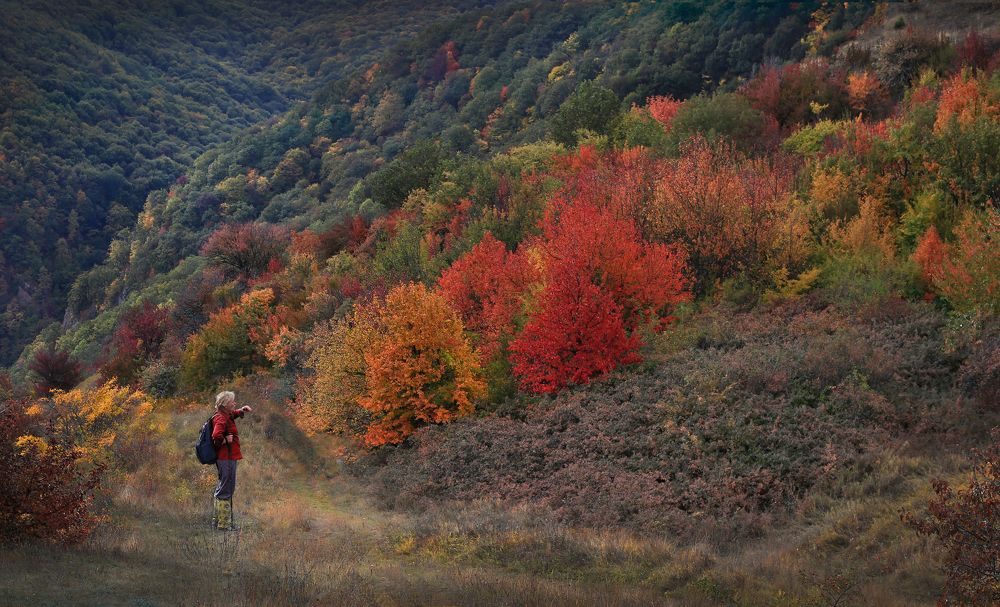 Очарованный странник
