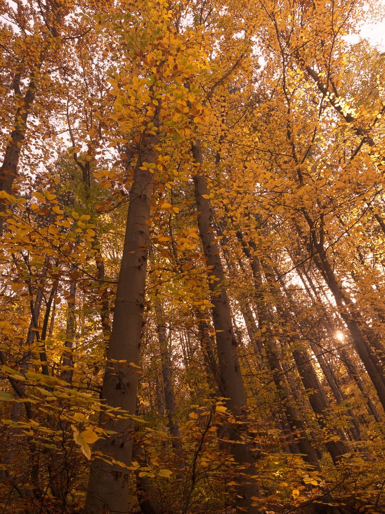 Photograph by Aleksandar Nikolov