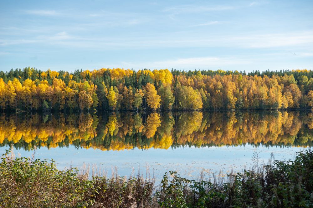 Photograph by Николай