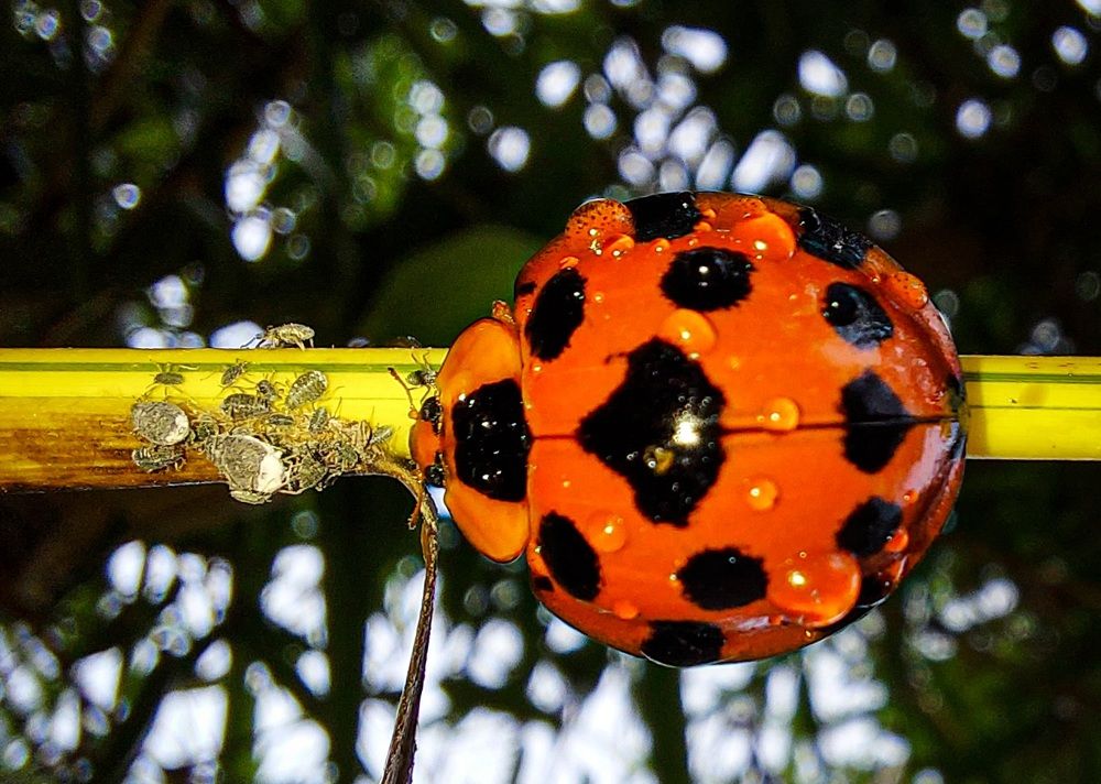 Photograph by Mathew Nishanth A