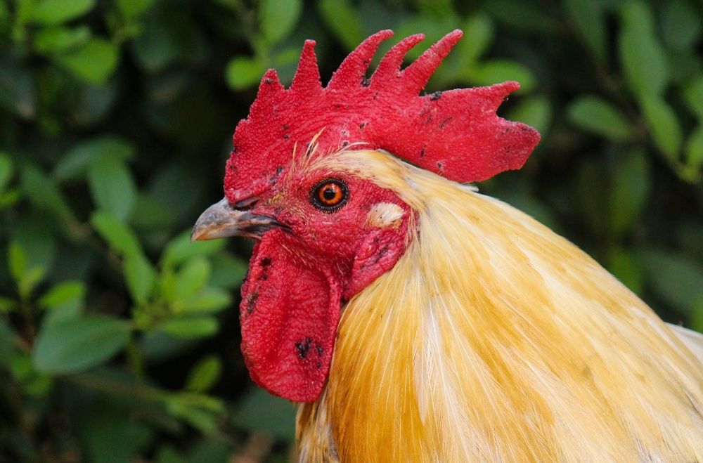 Photograph by Mathew Nishanth A