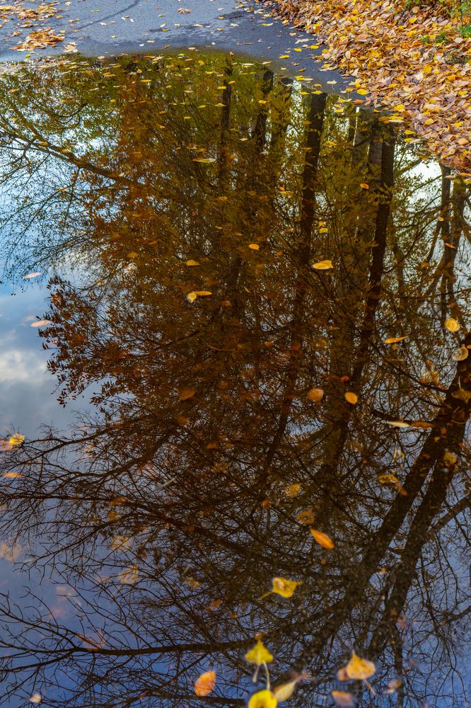 Фотография автора Виталий Гавронский