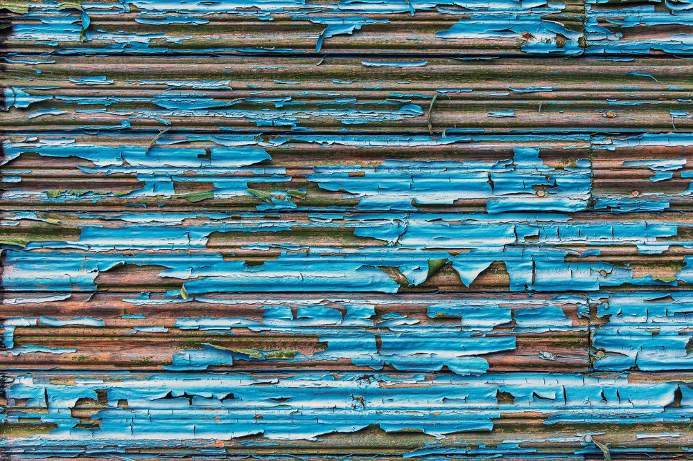 Фотография автора Ирина Яздан Мехр