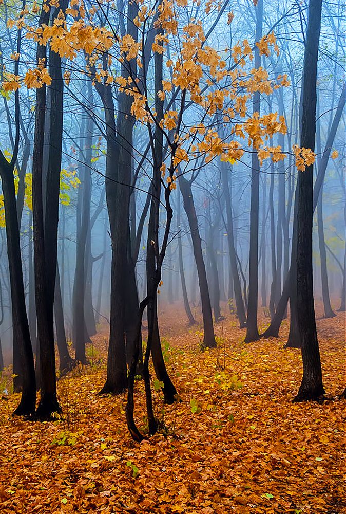 Photograph by Алексей Патлах