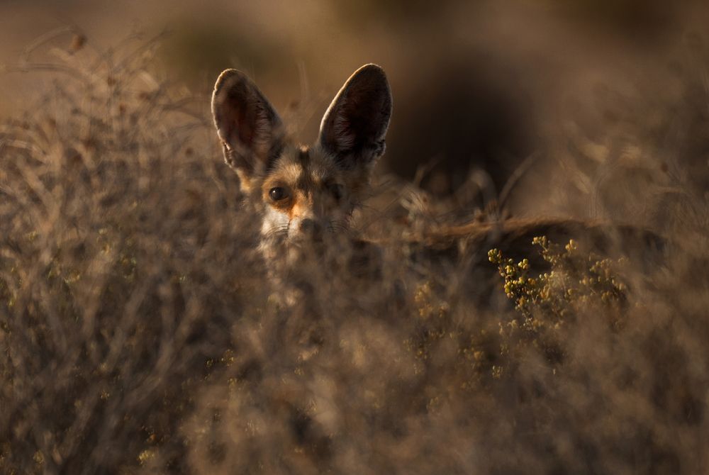 Photograph by Bristow Joseph