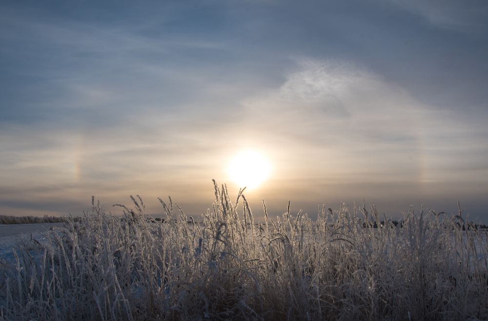 Photograph by Александрова Ольга