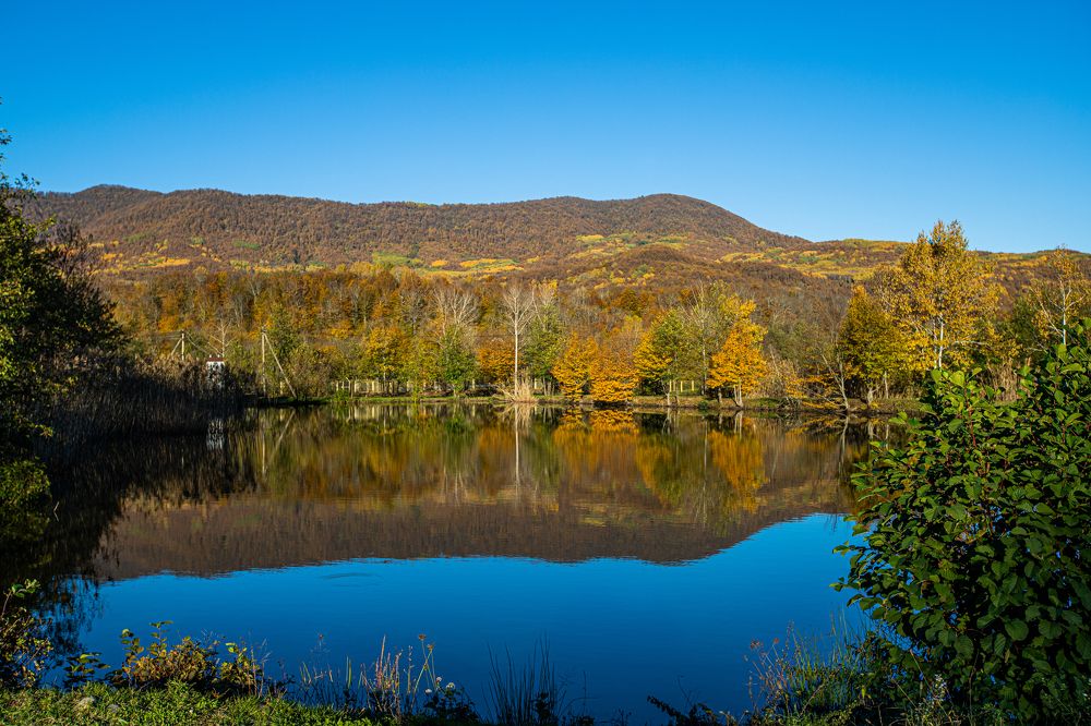 Photograph by Роман Приходько