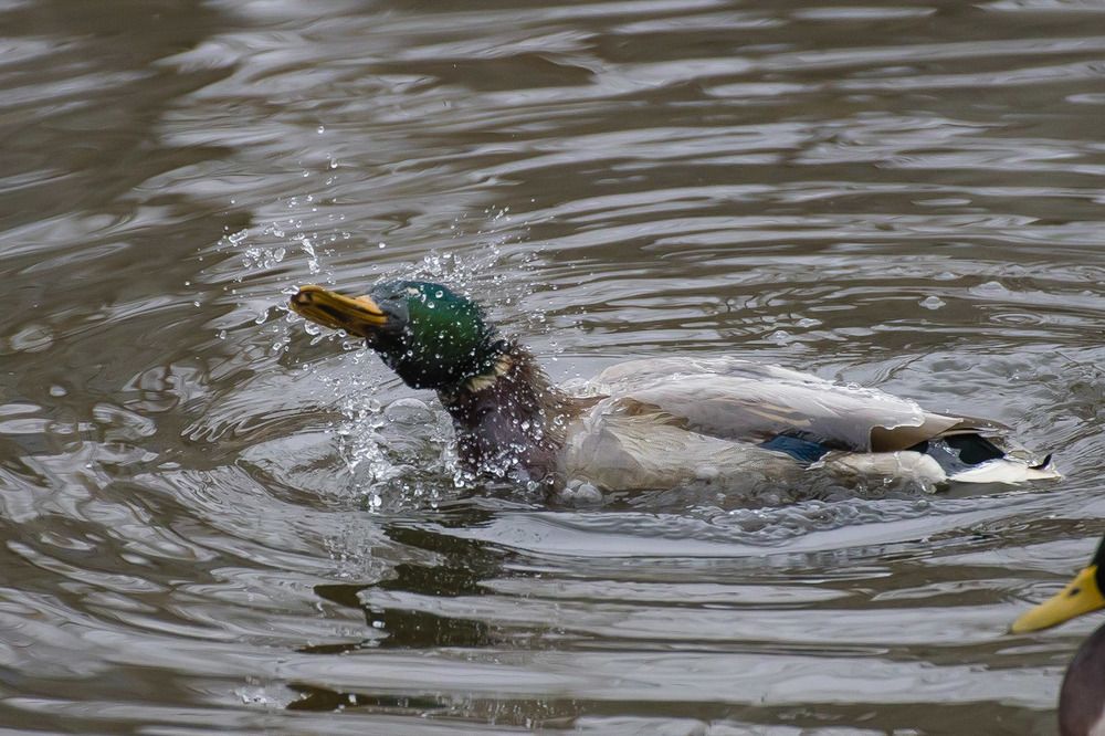 Photograph by Максим Фролов