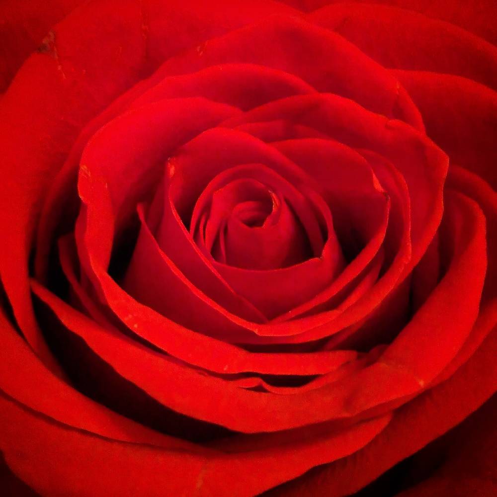 Photograph by Любовь Макарова