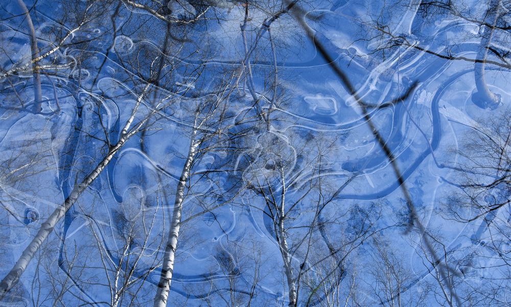 Photograph by Надежда Буаллаг