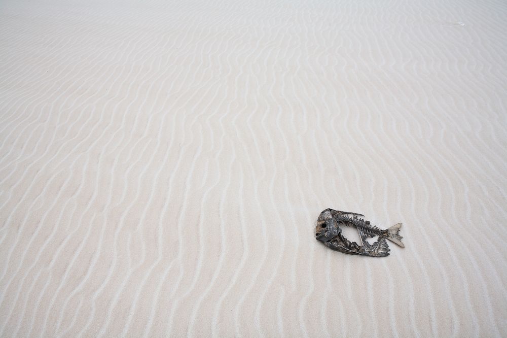 Photograph by Vladimir Melnik