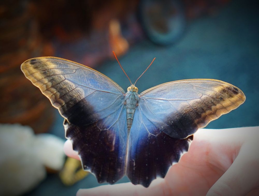 Photograph by Ольга Вороная