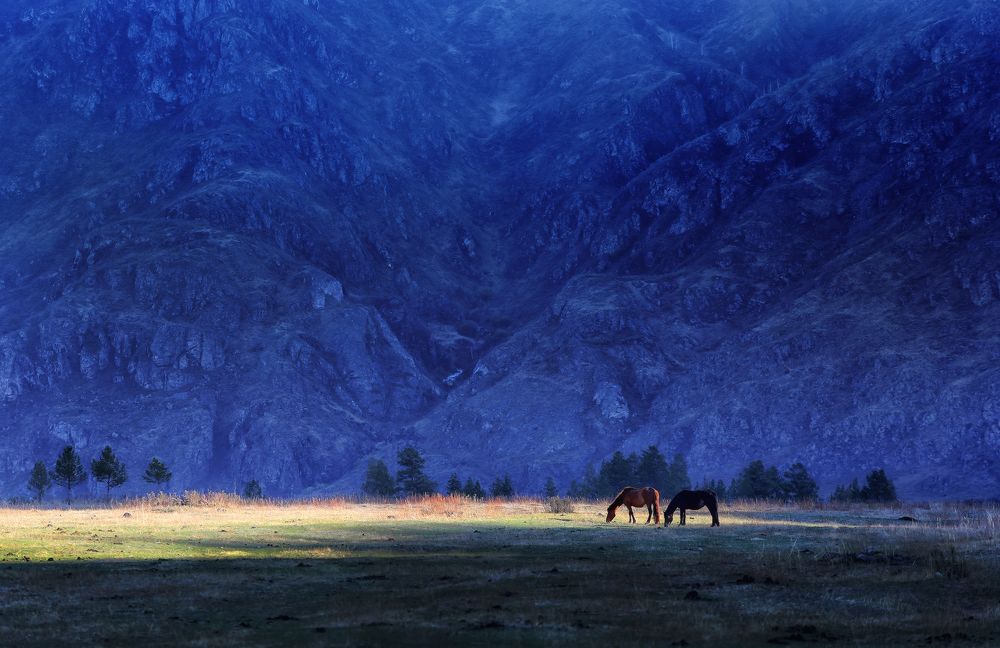 Photograph by Галина Хвостенко