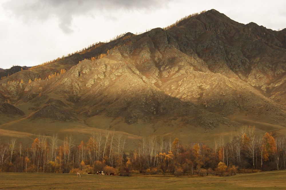 Photograph by Юлия Лазебная