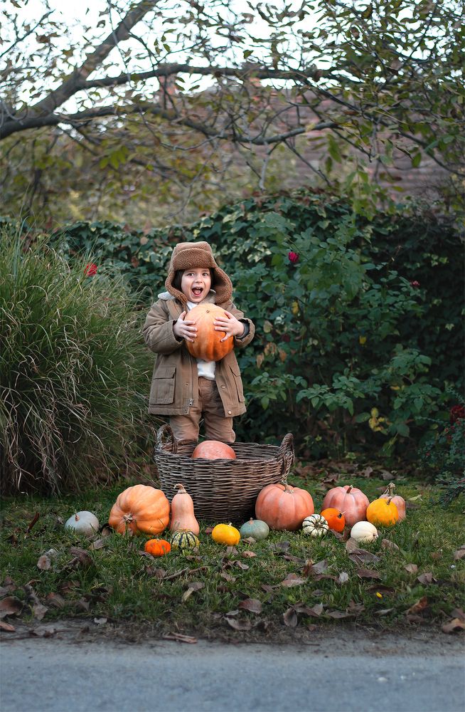 Photograph by Эльвира Бркич