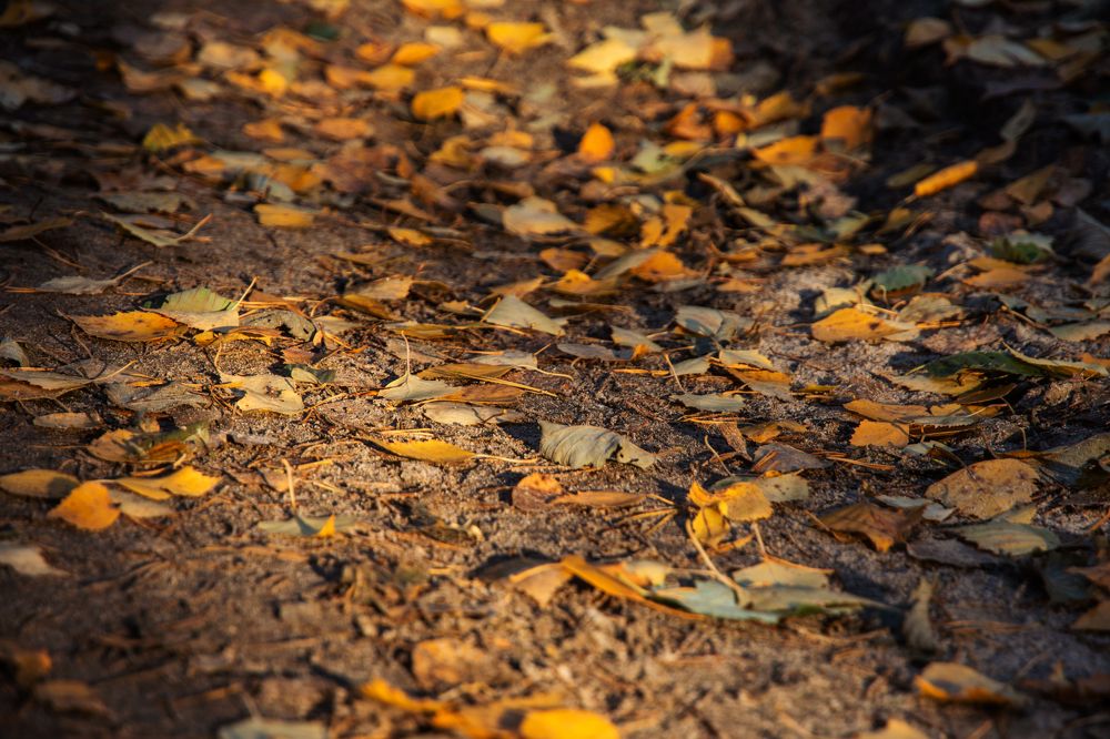 Photograph by Максим