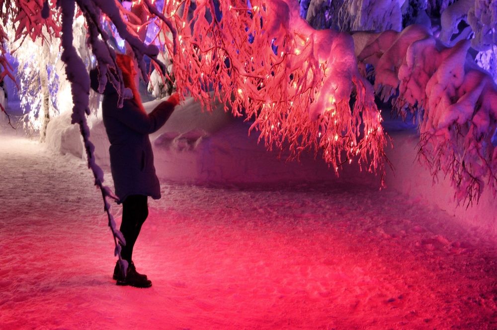 Photograph by Яковлева Лора Алексеевна