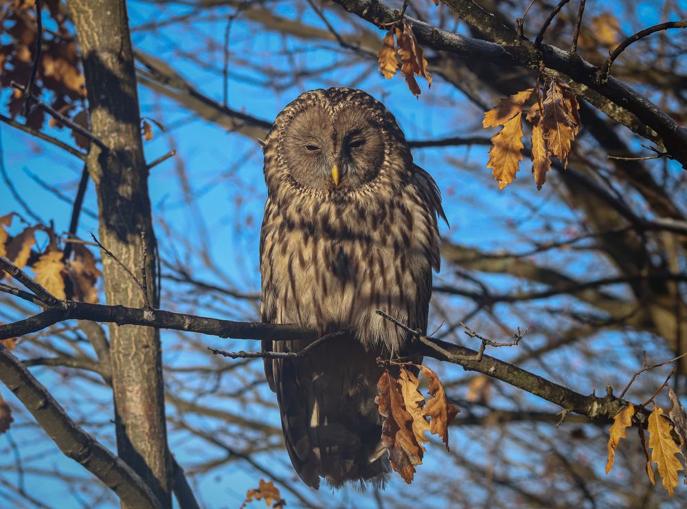 Photograph by George Alexandru Ghiuro