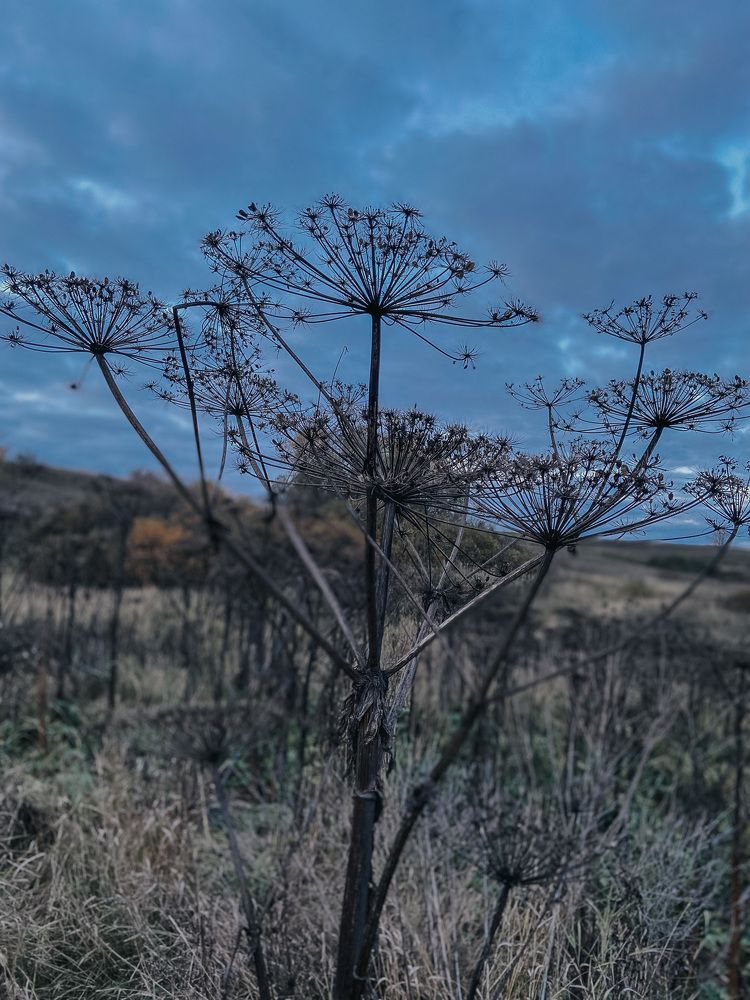 Photograph by Катерина