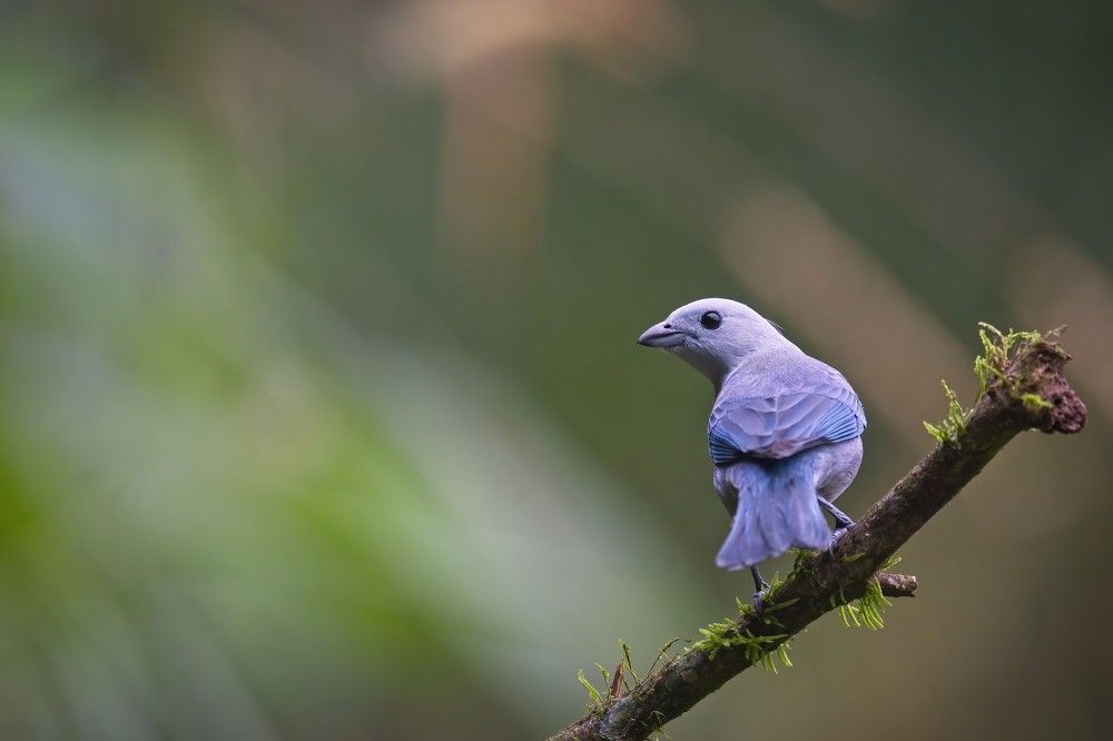 Photograph by Juraj Benčík