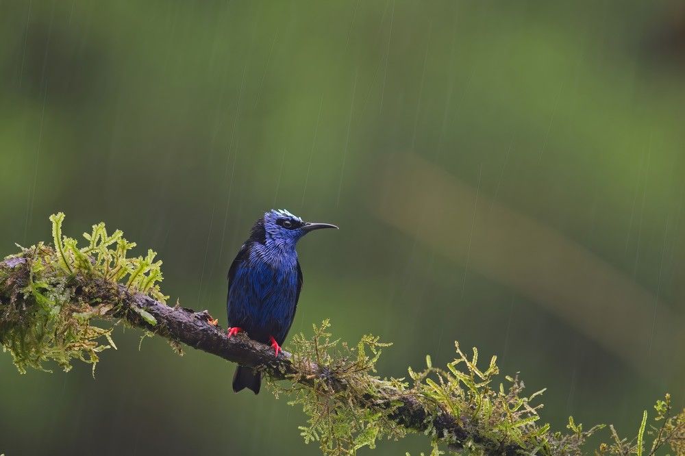 Photograph by Juraj Benčík