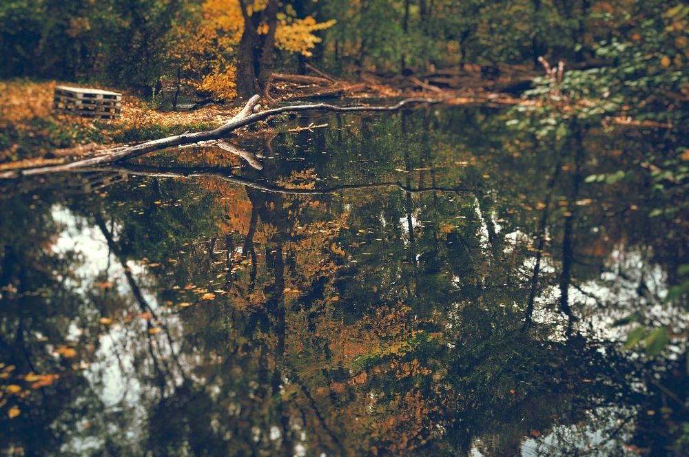 Photograph by Ольга Мальцева