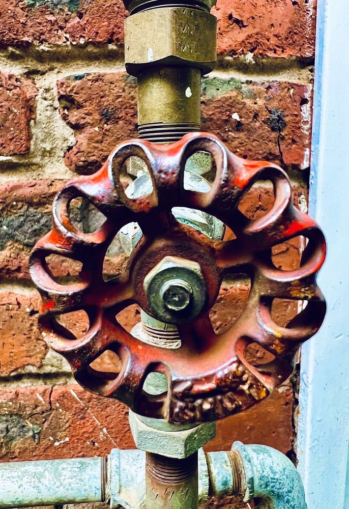 Photograph by Shannon