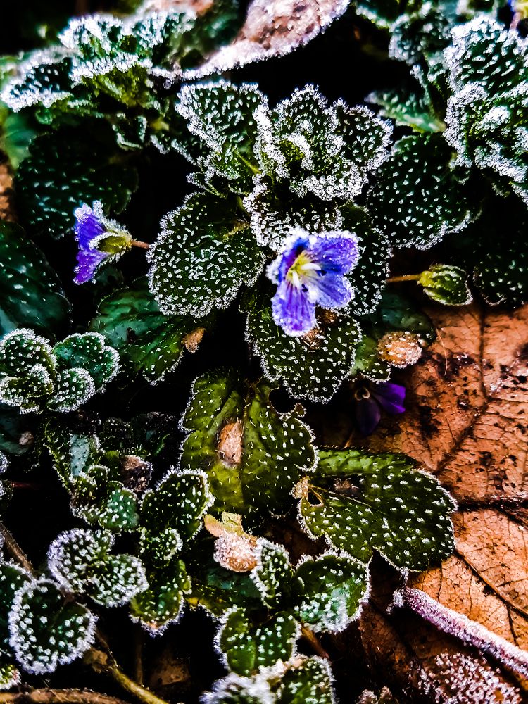 Photograph by Елена Безгинова